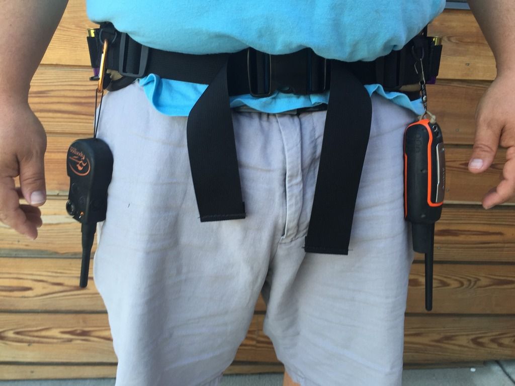 Q5 Upland Bird Belt Review Ultimate Pheasant Hunting Forums